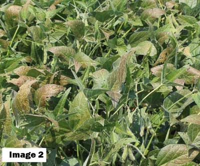 image2-lb.jpg image2-lb.jpg